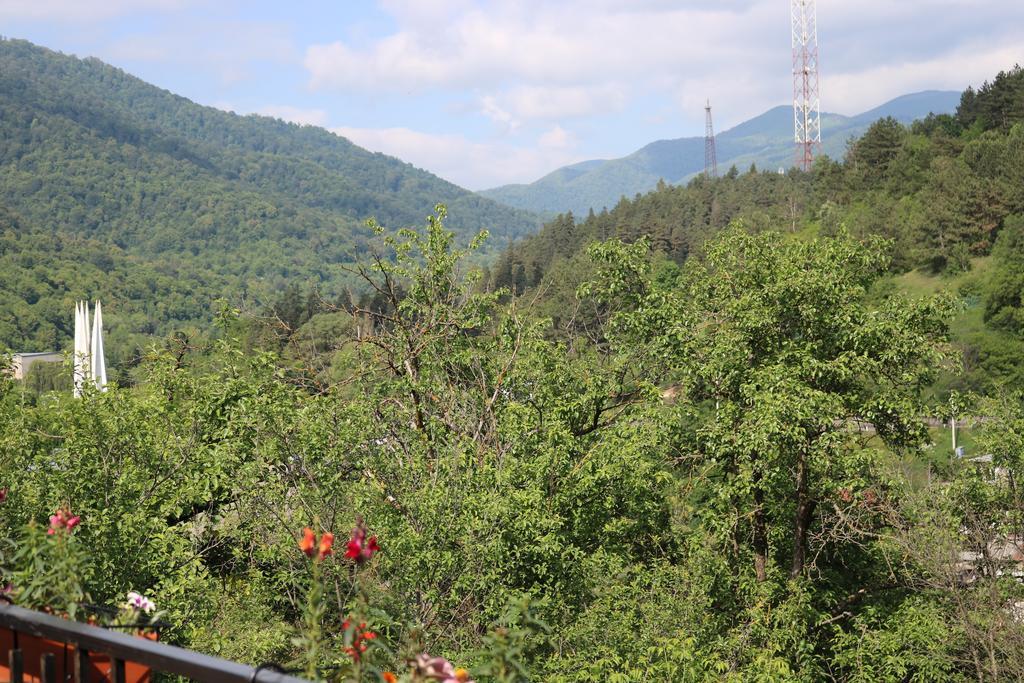 Villa Dilijan Garden House Extérieur photo